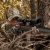 Фото  Оптический прицел Sightmark Core HX 3-9x40 HBR Hunters Ballistic Riflescope (кольца и чехол в комплекте) (SM13068HBR)